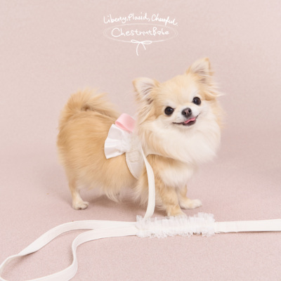 ChestnutBabe ButterSea蝴蝶结胸背 原创狗狗小型犬宠物牵引绳