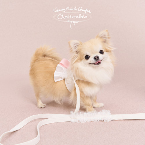 ChestnutBabe ButterSea蝴蝶结胸背 原创狗狗小型犬宠物牵引绳