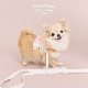 ChestnutBabe 原创狗狗小型犬宠物牵引绳 ButterSea蝴蝶结胸背