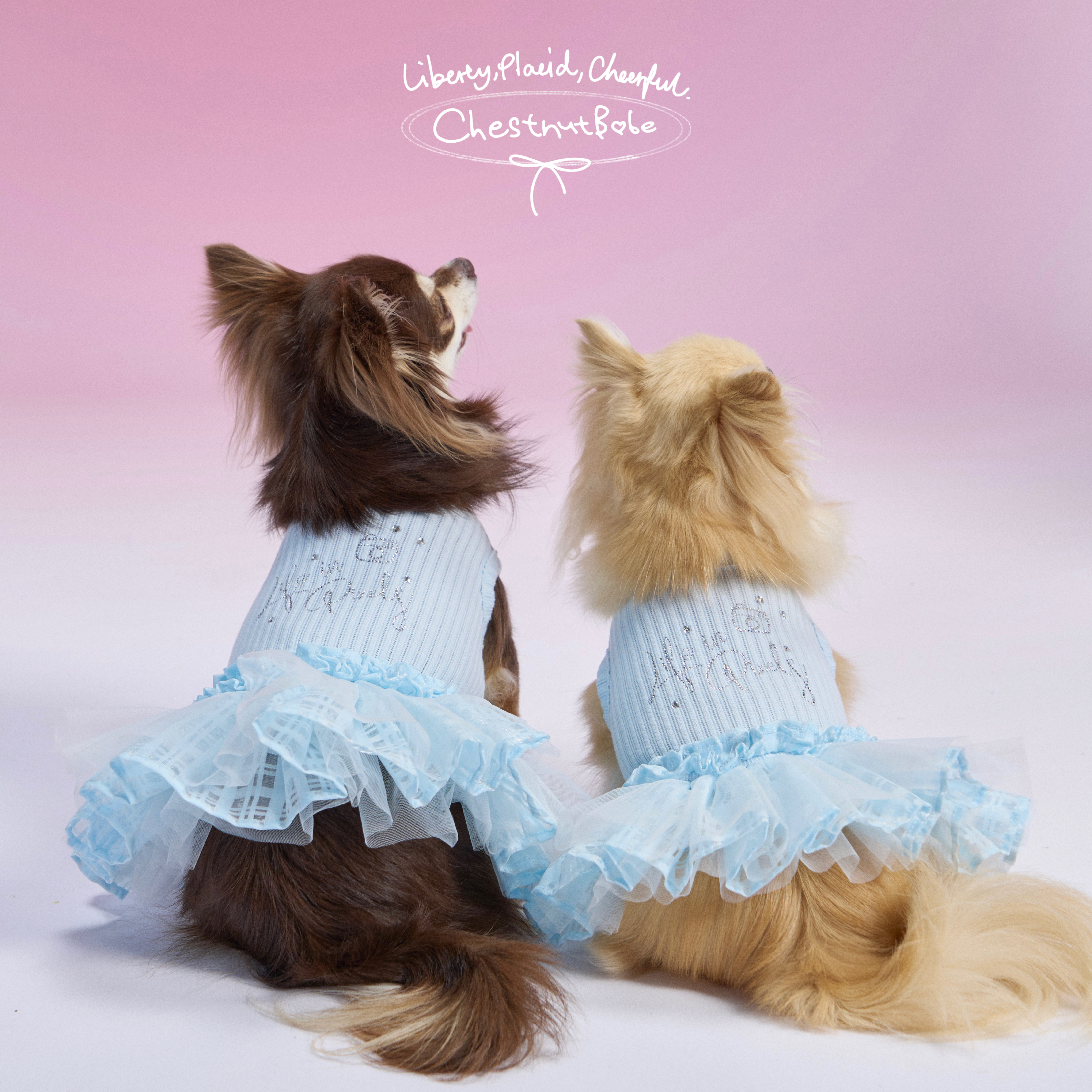 ChestnutBabe KiraKira烫钻蓬蓬裙 原创狗狗甜美宠物服装吊带裙