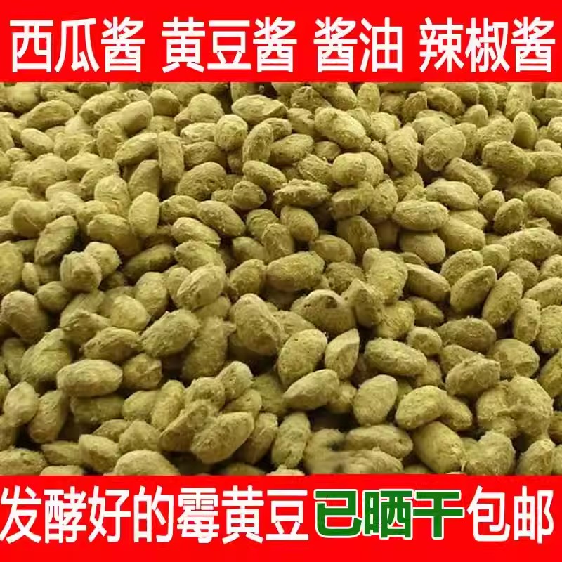 绿色酱豆黄豆酱霉黄豆农家霉豆子自然发酵捂豆子霉大豆做大酱酱油