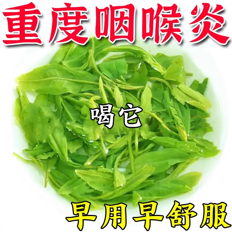 咽喉炎慢性咽炎除专用茶包特效治喉咙有痰异物感滤泡化痰止咳根药