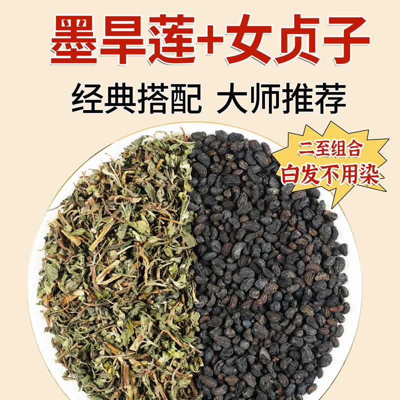 女贞子和墨旱莲茶包二至汤