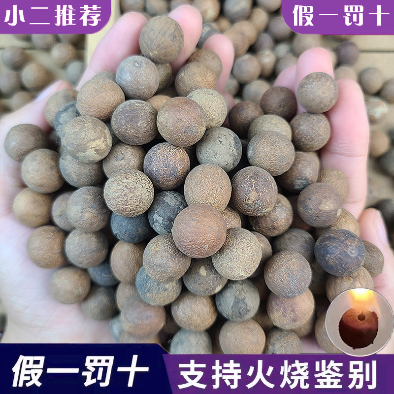 精选天然白玉菩提根原果原籽大果多宝菩提子佛珠念珠手链DIY手串