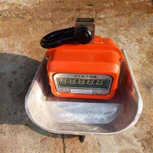 带手持仪表小吊秤3吨直视高温吊钩秤5吨电子吊磅冶铁称重