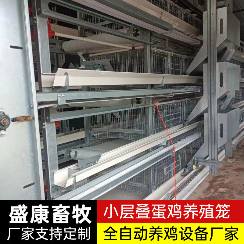 工业全自动多层叠养鸡捡蛋清粪蛋鸡笼子养殖场立式小层叠蛋鸡笼