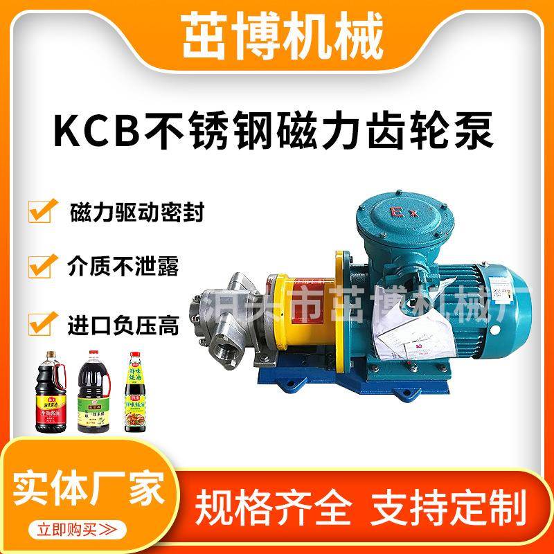 试压泵溶剂增压泵絮凝剂输送泵KCB-300不锈钢磁力齿轮泵自吸