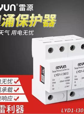 LYD1-I30一级电涌保护防雷器1-2-3-4P上海雷源浪涌保护器350/10