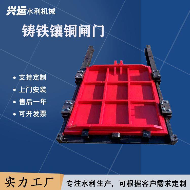 铸铁双向闸门一体启闭机水闸门立式明杆大型污水球墨高压铸铁闸门