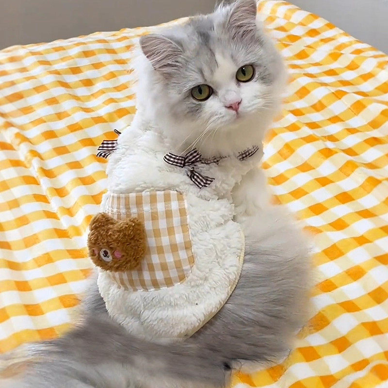 猫咪衣服秋冬加绒保暖口袋小熊背心布偶英短幼猫小型犬宠物防掉毛