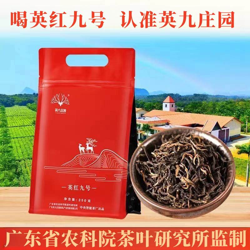 英九庄园英红九号红茶口粮茶自饮
