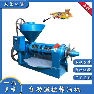 168型山桐子榨油机 国瑞山桐子榨油设备全新工艺设计连续性强