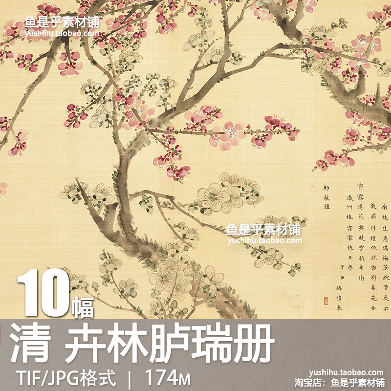 清代卉林胪瑞册古代花卉国画册页艺术参考临摹绘画电子版图片素材