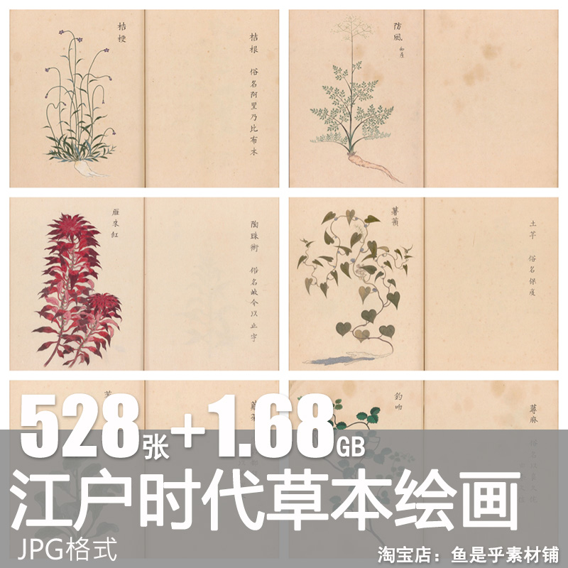 江户时代古代草药草本植物中药手绘彩绘参考绘画插画临摹素材图谱