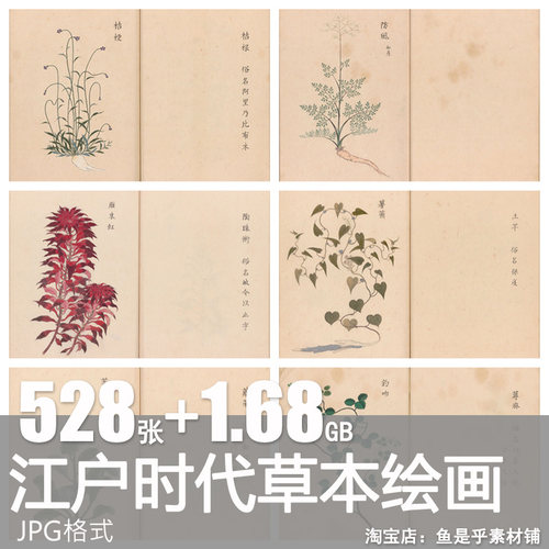 江户时代古代草药草本植物中药手绘彩绘参考绘画插画临摹素材图谱