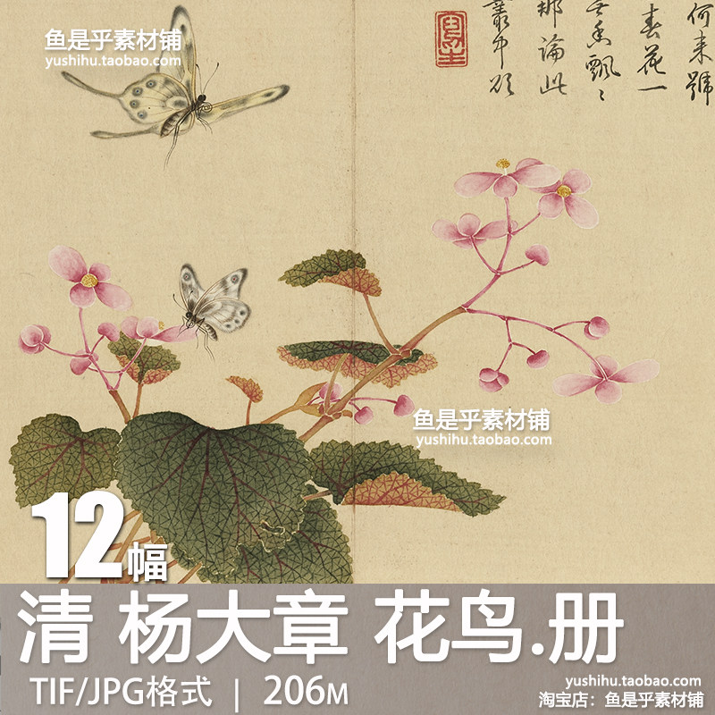 清杨大章花鸟册古代工笔国画花鸟虫草书法参考临摹电子版图片素材,商务/设计服务,设计素材/源文件,淘宝优惠券,粉丝福利购,淘宝优惠卷