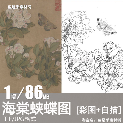 海棠蛱蝶图宋小品工笔花鸟绘画白描彩图临摹打印高清电子图片素材