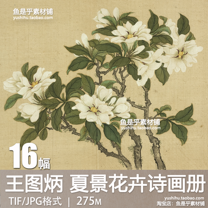 清王图炳夏景花卉诗画册古代国画艺术绘画参考临摹电子版图片素材