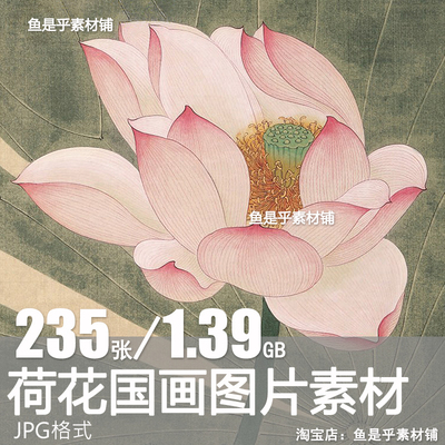 荷花莲花荷叶荷塘写意工笔手绘中国风国画水墨水彩电子版图片素材