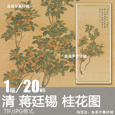 清 蒋廷锡 桂花图写意国画没骨花卉绘画芯喷绘临摹电子版素材图片