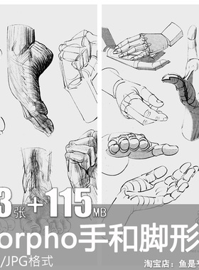 Morpho手和脚形态解剖手绘线稿素描身体结构绘画CG美术参考图素材