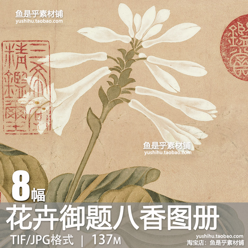 清钱维城绘花卉御题八香图册古代没骨花卉彩绘参考电子版图片素材,商务/设计服务,设计素材/源文件,淘宝优惠券,粉丝福利购,淘宝优惠卷