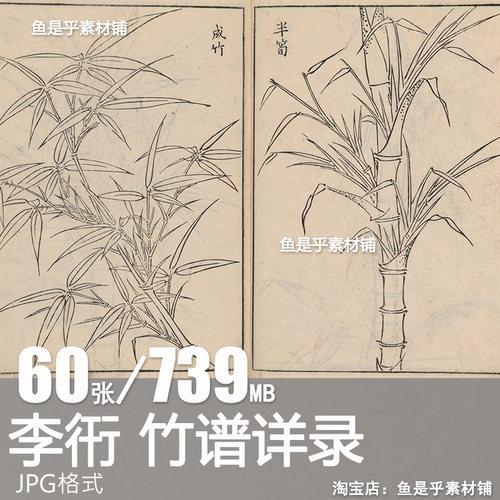 李衎竹谱详录初学绘画书法范例国画竹子画法教程电子画册图片素材