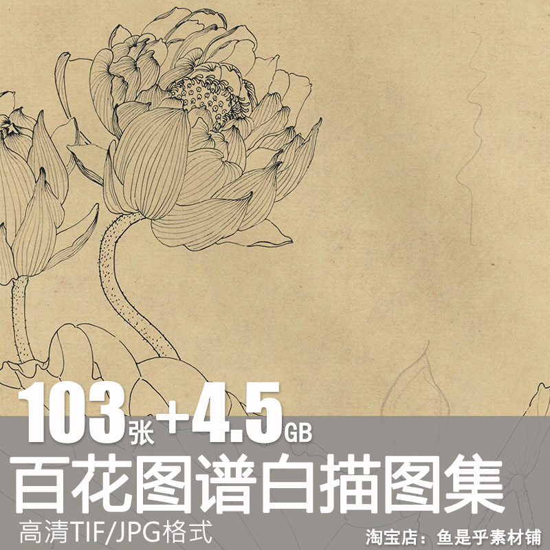 百花图谱白描线稿图集速写国画花卉植物工笔画高清电子版图片素材 商务/设计服务 设计素材/源文件 原图主图