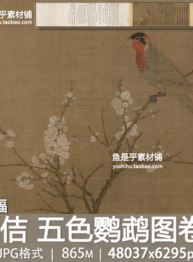 五色鹦鹉图卷宋徽宗赵佶国画工笔重彩花鸟瘦金体书画电子图片素材