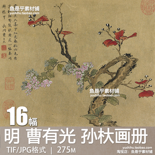 明曹有光孙杕画册工笔花鸟画卷古代文人国画艺术参考电子图片素材
