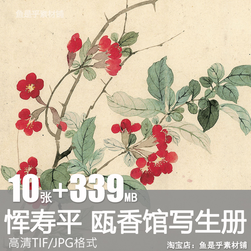 瓯香馆写生册清朝恽寿平花卉国画画芯水墨绘画高清电子版图片素材