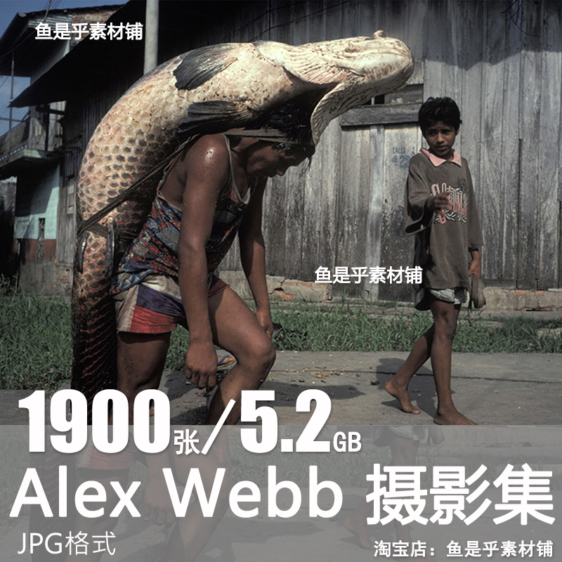 亚历克斯韦伯 美国纪实街头摄影大师Alex Webb摄影集电子图片素材