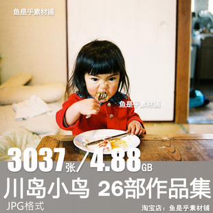 川岛小鸟日系小清新摄影作品集参考临摹高清图片照片电子版素材