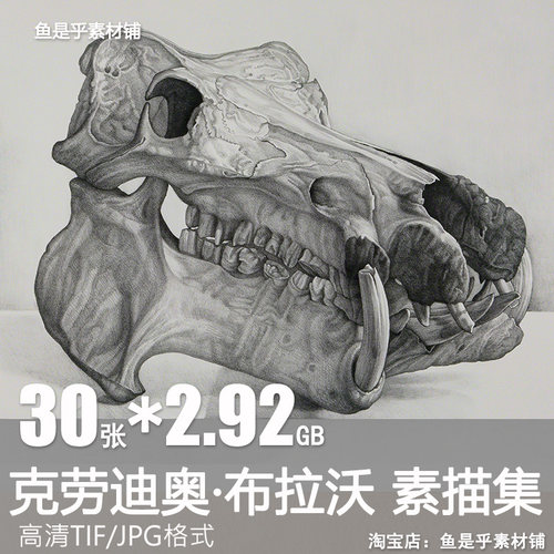 克劳迪奥布拉沃Claudio Bravo超现实主义写实素描电子版素材图片