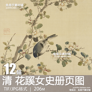 清花蹊女史册页图古代工笔花鸟艺术绘画参考临摹电子图片素材
