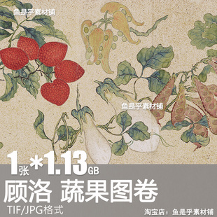 蔬果图卷顾洛清代名画国画蔬菜水果工笔花鸟临摹高清电子图片素材