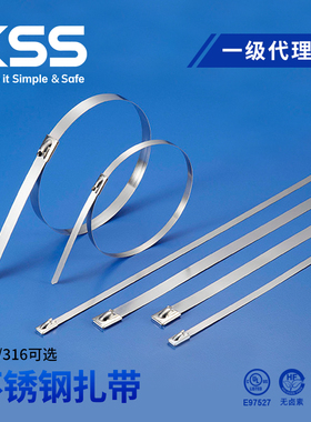KSS不锈钢扎带BCT/BST系列凯士士304/316金属扎带