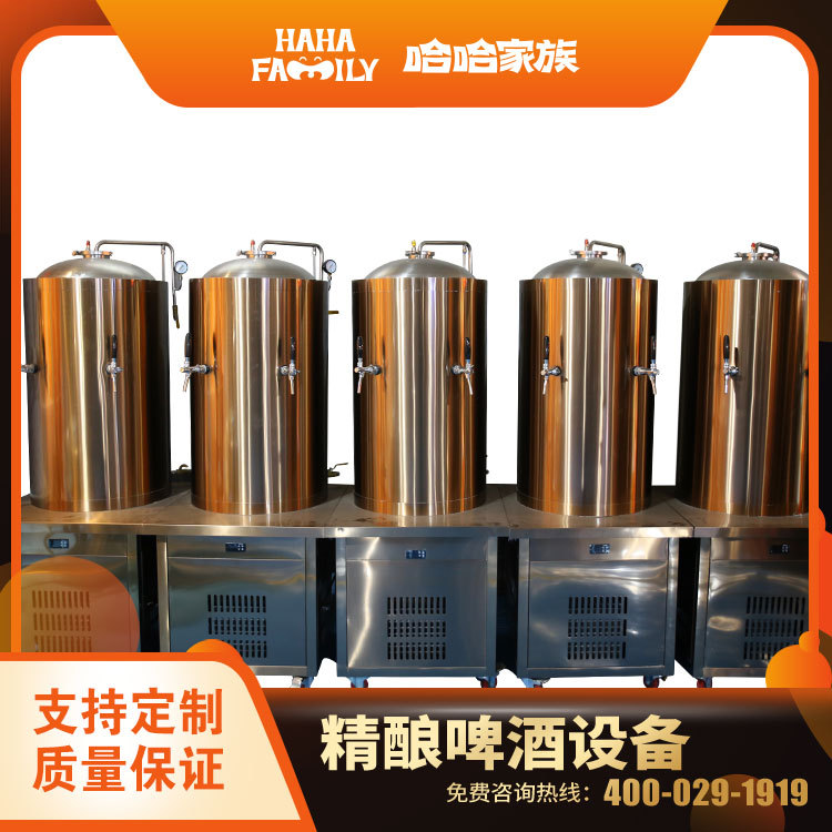 精酿家用酿造设备 精酿啤酒配方 小型生产啤酒机械 原浆分体机