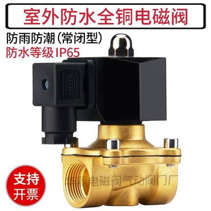 室外防水电磁阀水阀AC220V常闭进放水管电磁控制阀开关24V 4分6分