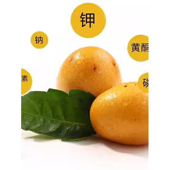 南酸枣粒TSK江万载特产带核果糕耐原味辣味妇酱吃西的零食小吃