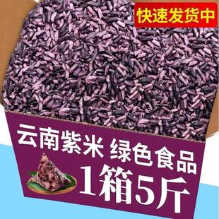 OVH云南墨江紫米新米10粽斤紫色糯批米紫糯米无染色非血米子商糯