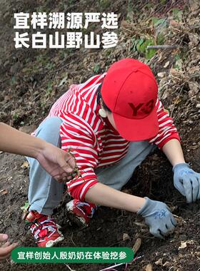 益生祇晒干野人参2阳0-22单野人参祇ZVL9g礼盒