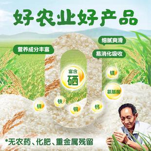 GBE袁氏农场营婴儿高铁米粉米糊宝宝辅米食钙铁锌养婴儿幼粉6个月