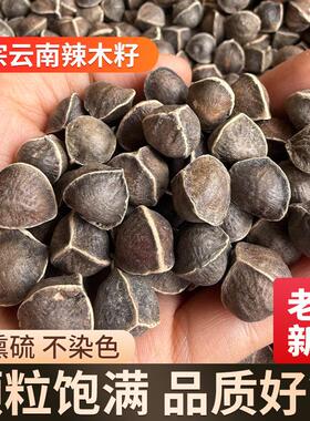 木籽中药材500g辣老树大果颗IVR粒饱作满草辣木籽食用的功效与用