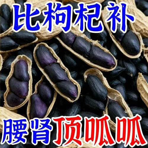 正宗富硒生黑花生带壳生黑花生富含花青素地道口感原味香甜零食
