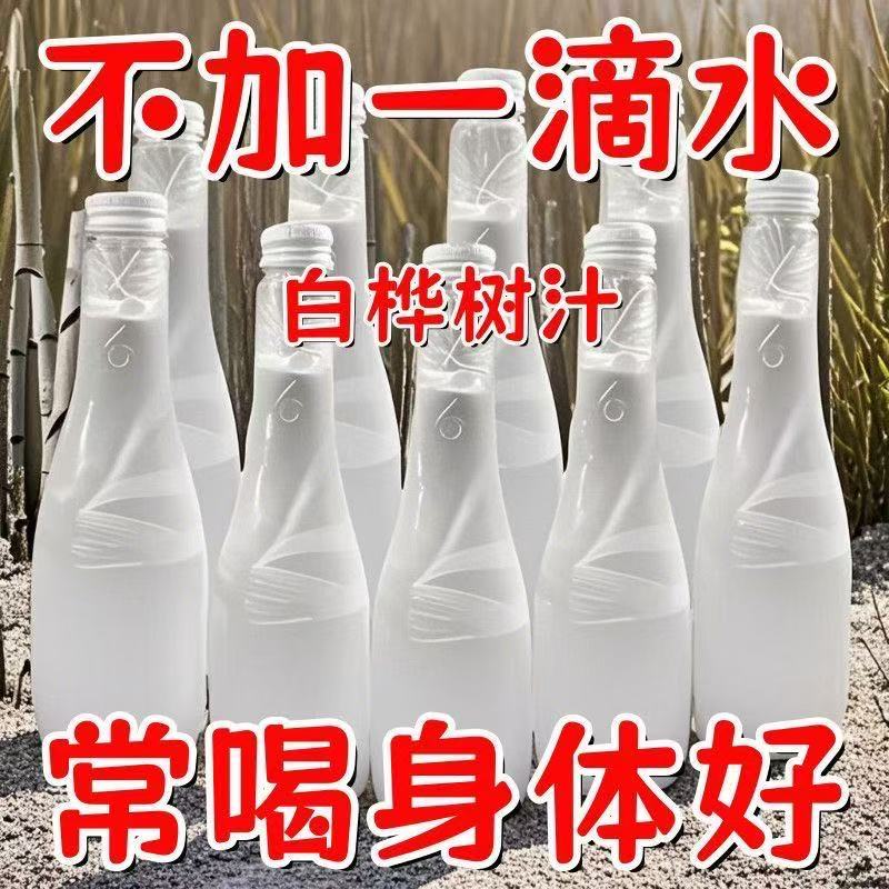 白桦树汁100%原汁无添加0脂NFC天然桦树原液植物饮料饮旗舰店