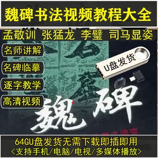 [全套]魏碑书法教程u盘名师临摹视频教学新手初学者自学入门技法
