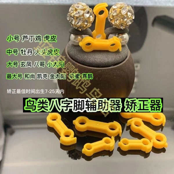 鹦鹉矫正器八字脚一字脚内八脚鸟畸形脚辅助脚环小鸟八字脚矫正器