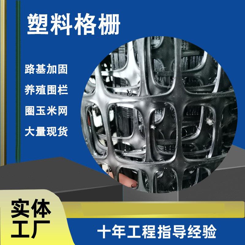 路基稳固用塑料格栅煤矿支护网pp塑料玉米网双向拉伸土工格栅