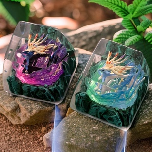 遇键宝可梦键帽原创神奇宝贝宠物小精灵图鉴机械键盘树脂透光键帽